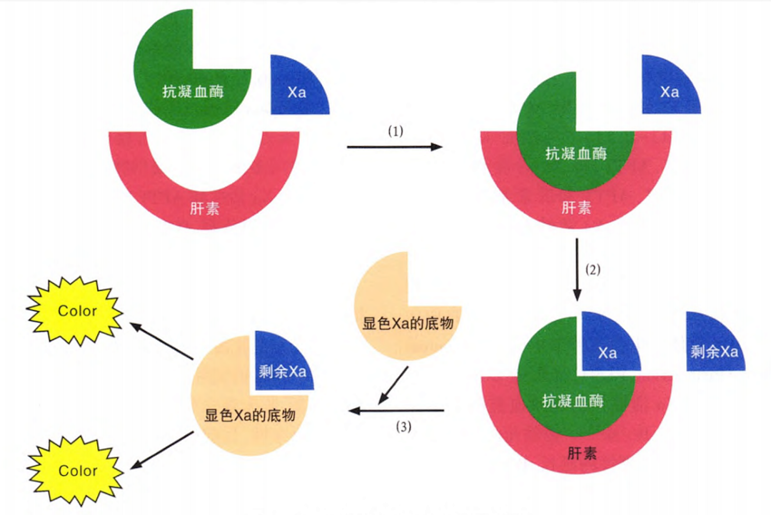 國產(chǎn)抗Xa質(zhì)量如何？多中心臨床研究來告訴你！